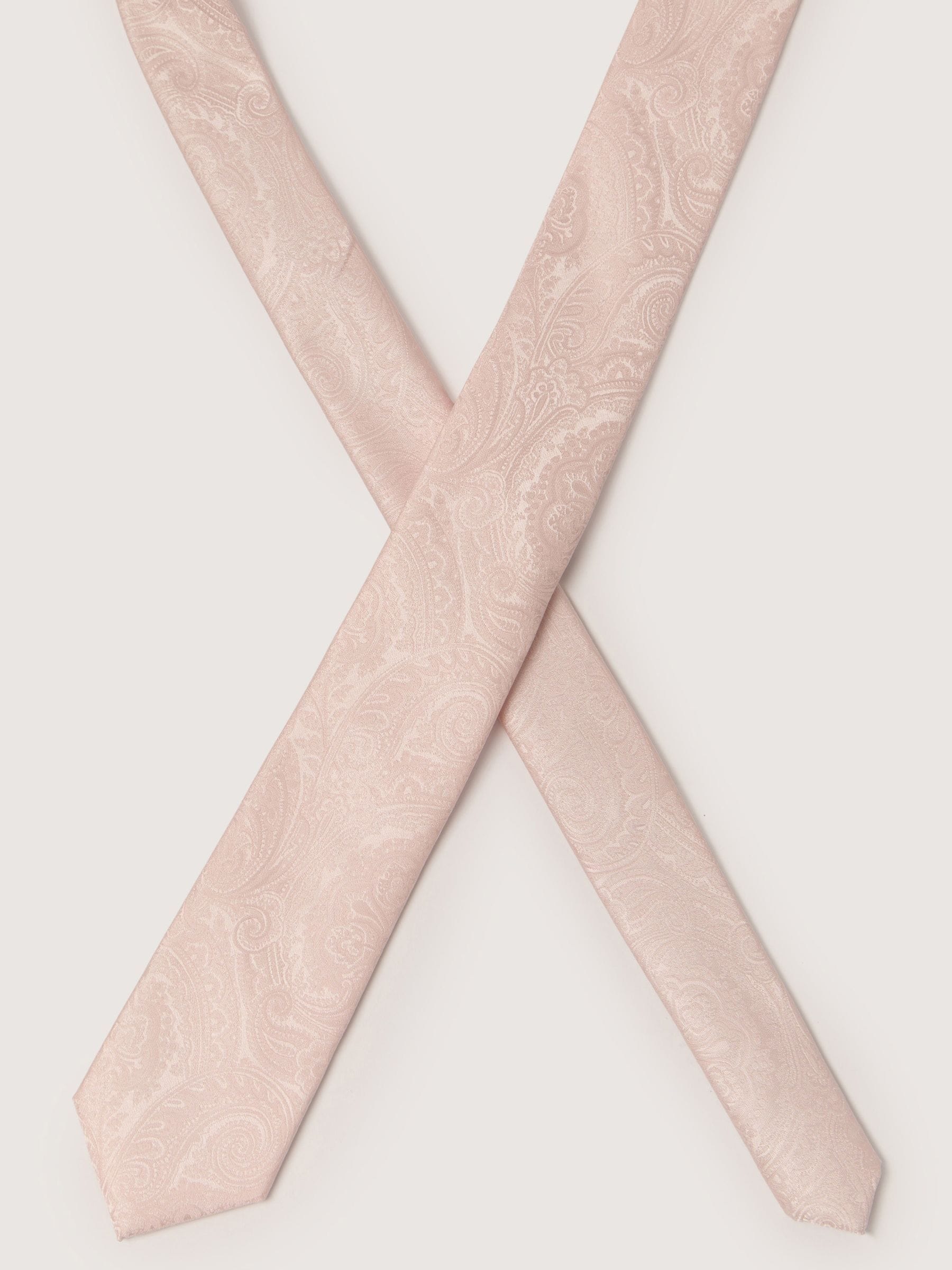 Antique Rogue Paisley Tie