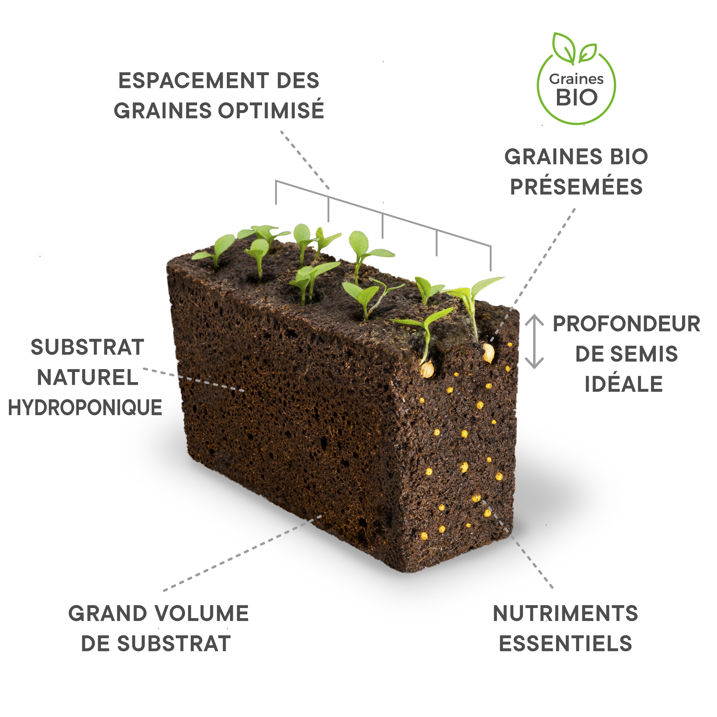 Lingot sarriette bio - recharge prête à l'emploi