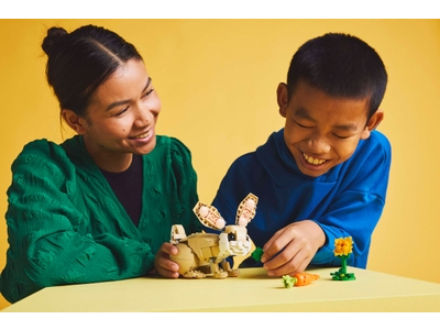 LEGO Lief konijn (31162)