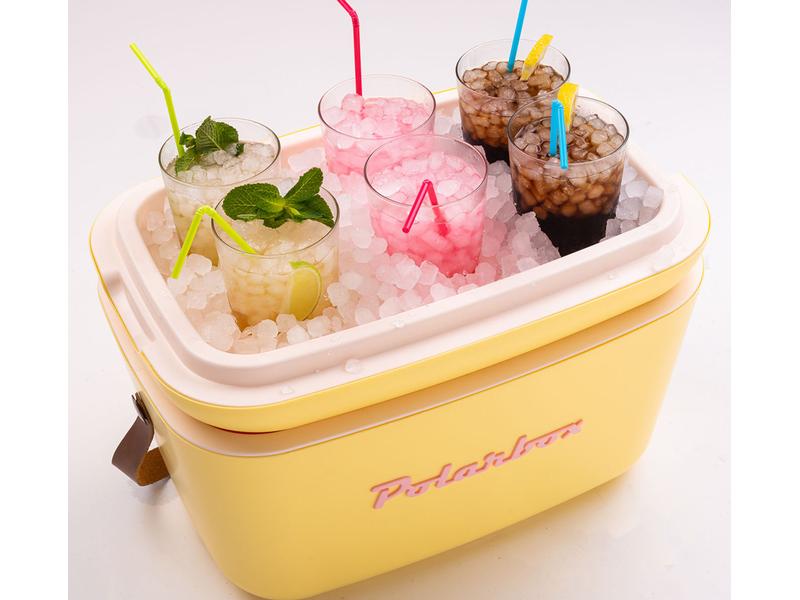 Polarbox Kühlbox Retro Cooler 20 l Klassische Kühlbox
