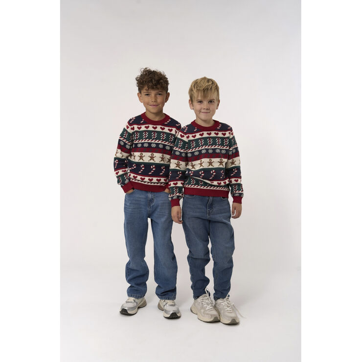 The New TNHoliday Jacquard Pullover Multi colour