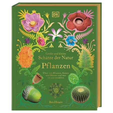 DK Verlag Große und kleine Schätze der Natur. Pflanzen