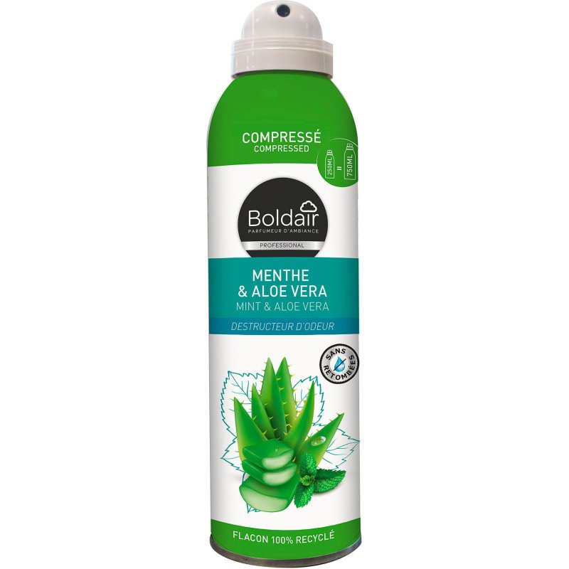Destructeur d'odeurs Boldair Menthe & Aloe vera - Aérosol 250 ml