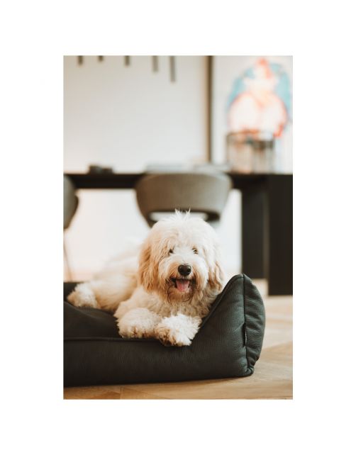 Maxxnobel Ultra Orthopedische Sofa Lederlook Zwart - Hondenbank