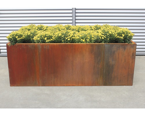 Klassieke verhoogde tuinbak palatino Urban 200 x 100 x 70 cm Cortenstaal