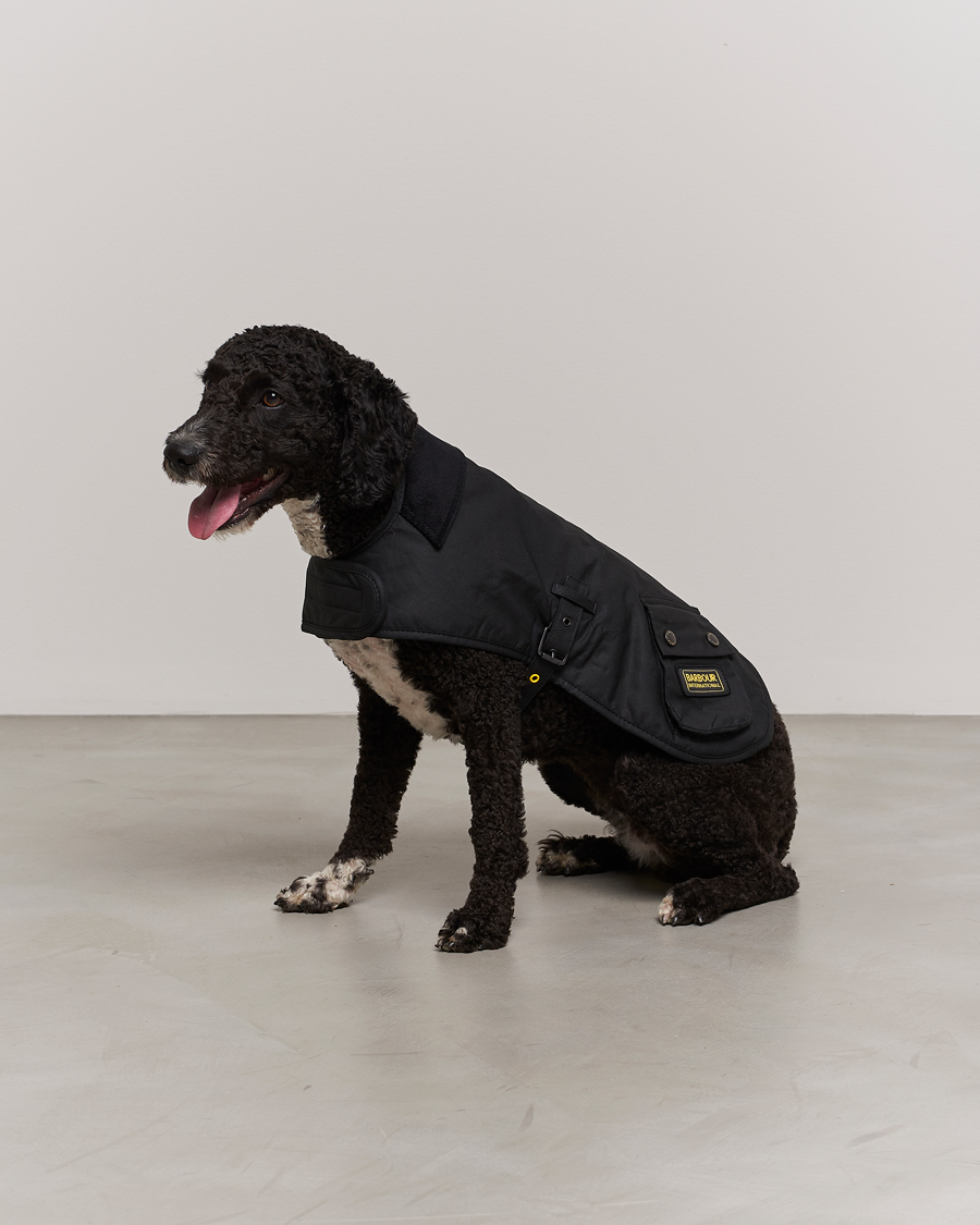 Barbour International Dog Coat Black