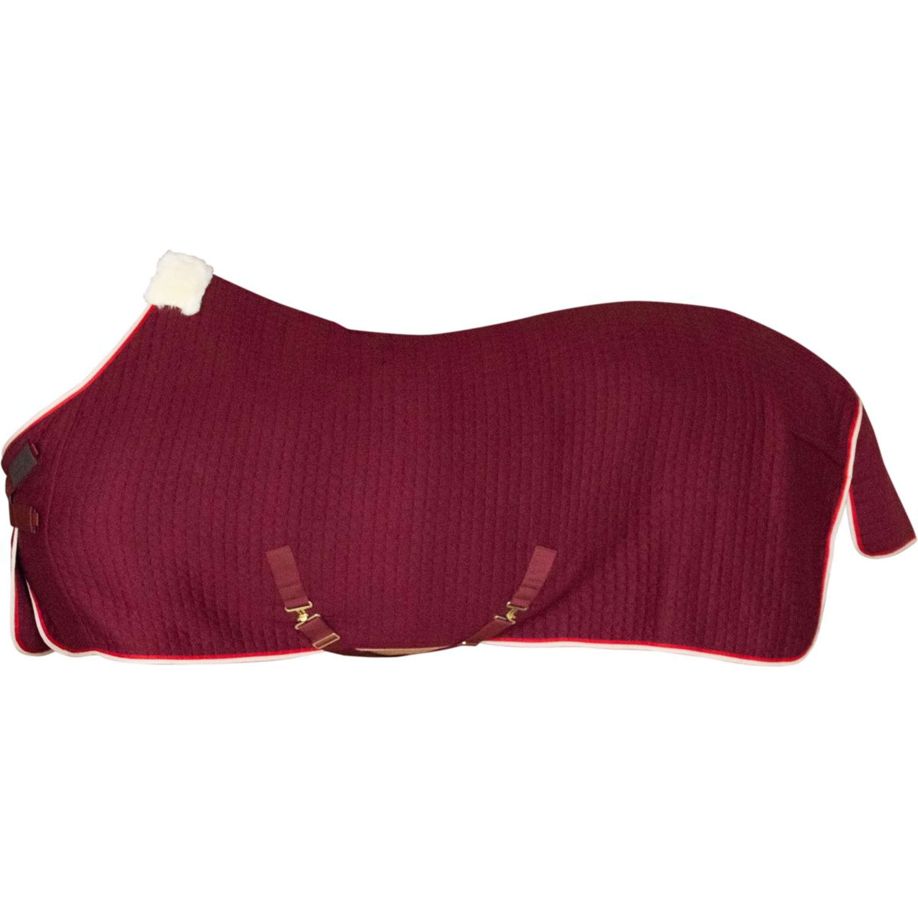 Kentucky Cooler PROTherm Bordeaux