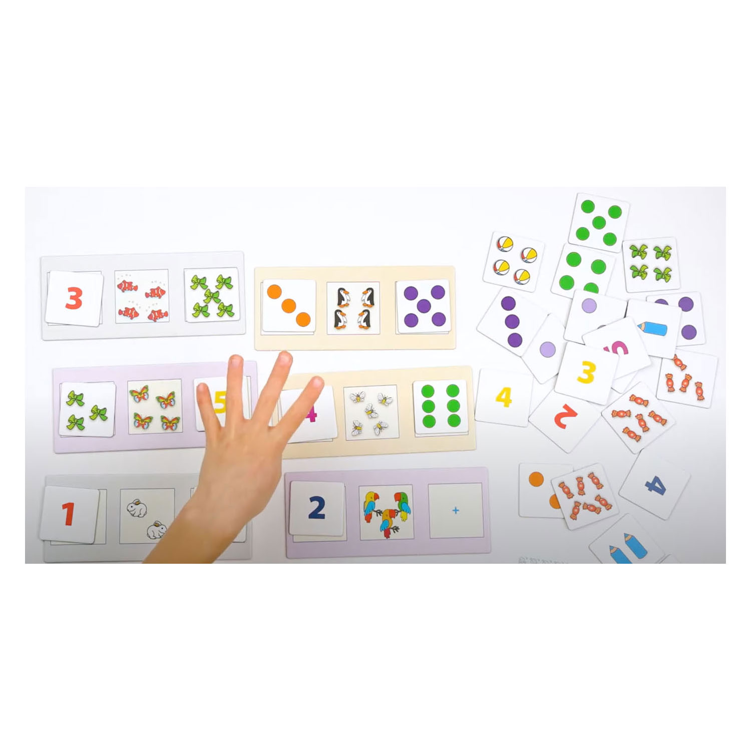 Rolf Basics -Een Meer een Minder Rekenspel