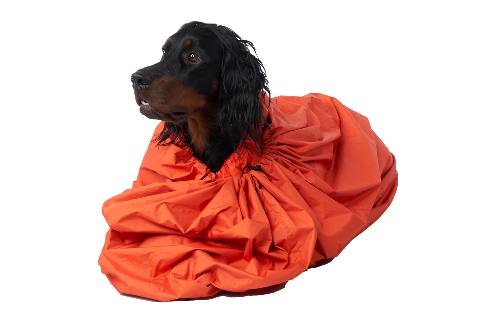 Kjøp Non-Stop Dogwear Bivvy Bag fra Hekta på tur!