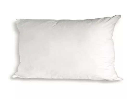 BELLECOUR LITERIE | Oreiller 40x60 cm LUXOTEL | Fibres creuses