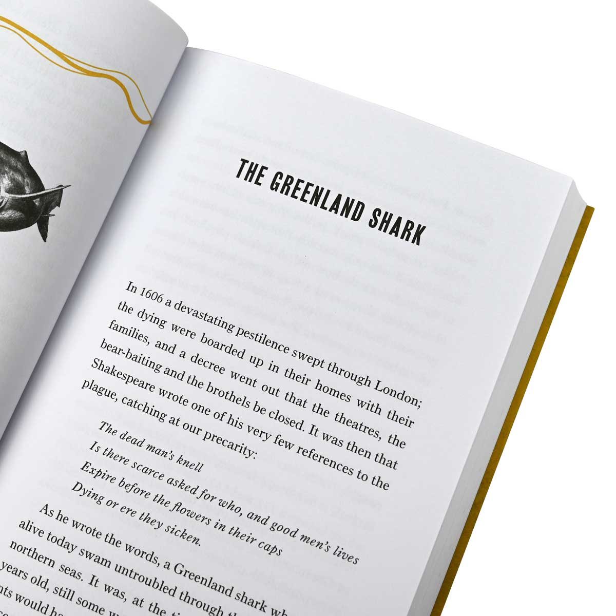 The Golden Mole: and Other Vanishing Treasure (Paperback)