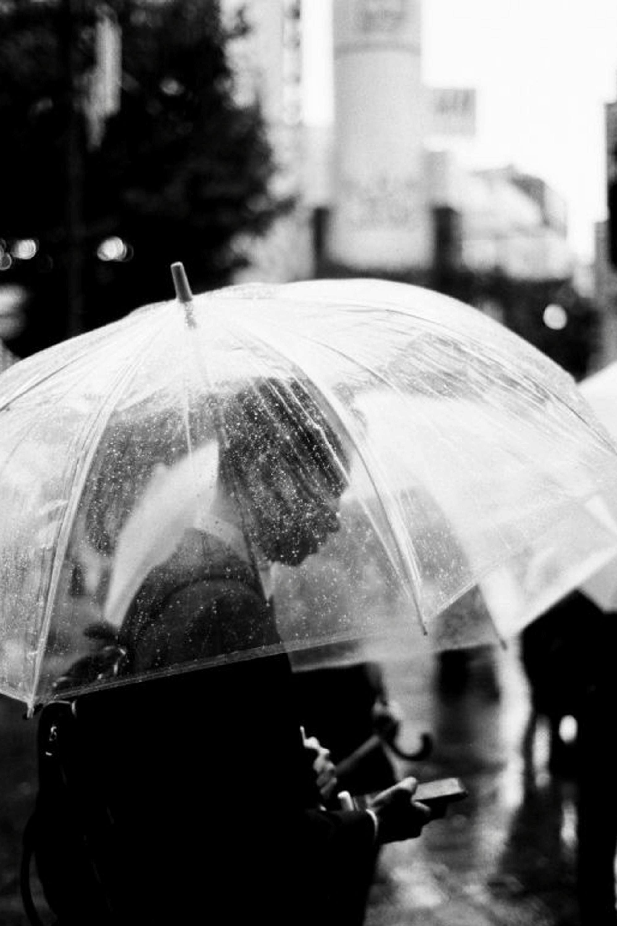 LOMOGRAPHY Pellicule Earl Grey B&W Noir