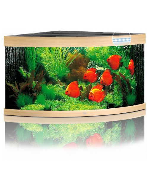 Juwel Aquarium Trigon 350 Led 123x87x65 cm - Aquaria
