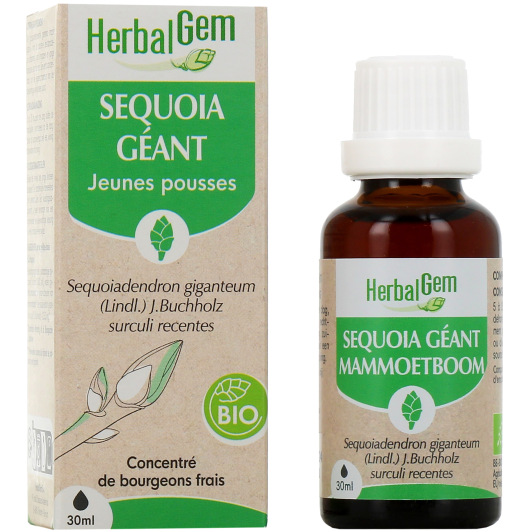 Herbalgem macérat sequoia bio - Gemmothérapie - Complément alimentaire