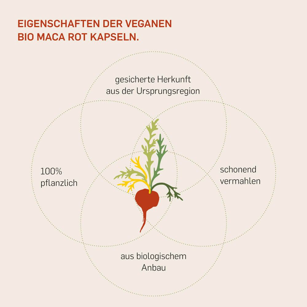 Kurkraft© Bio Maca Rot