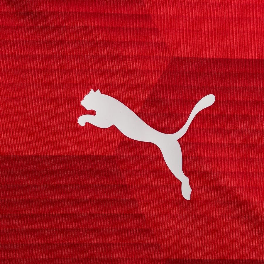 PUMA Maillot teamFINAL 21 Graphic - Rouge/Rouge