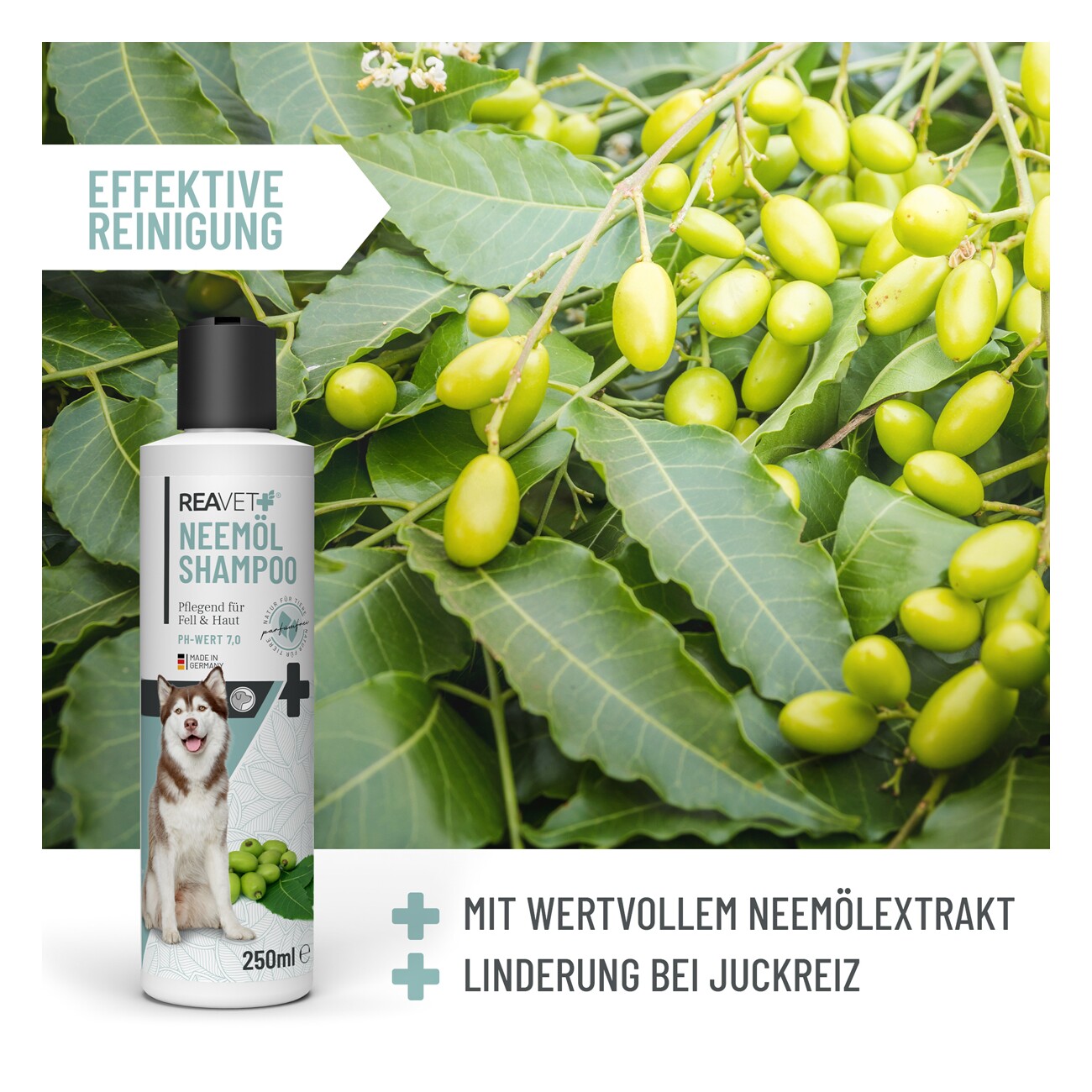 REAVET Neemöl Shampoo 250ml