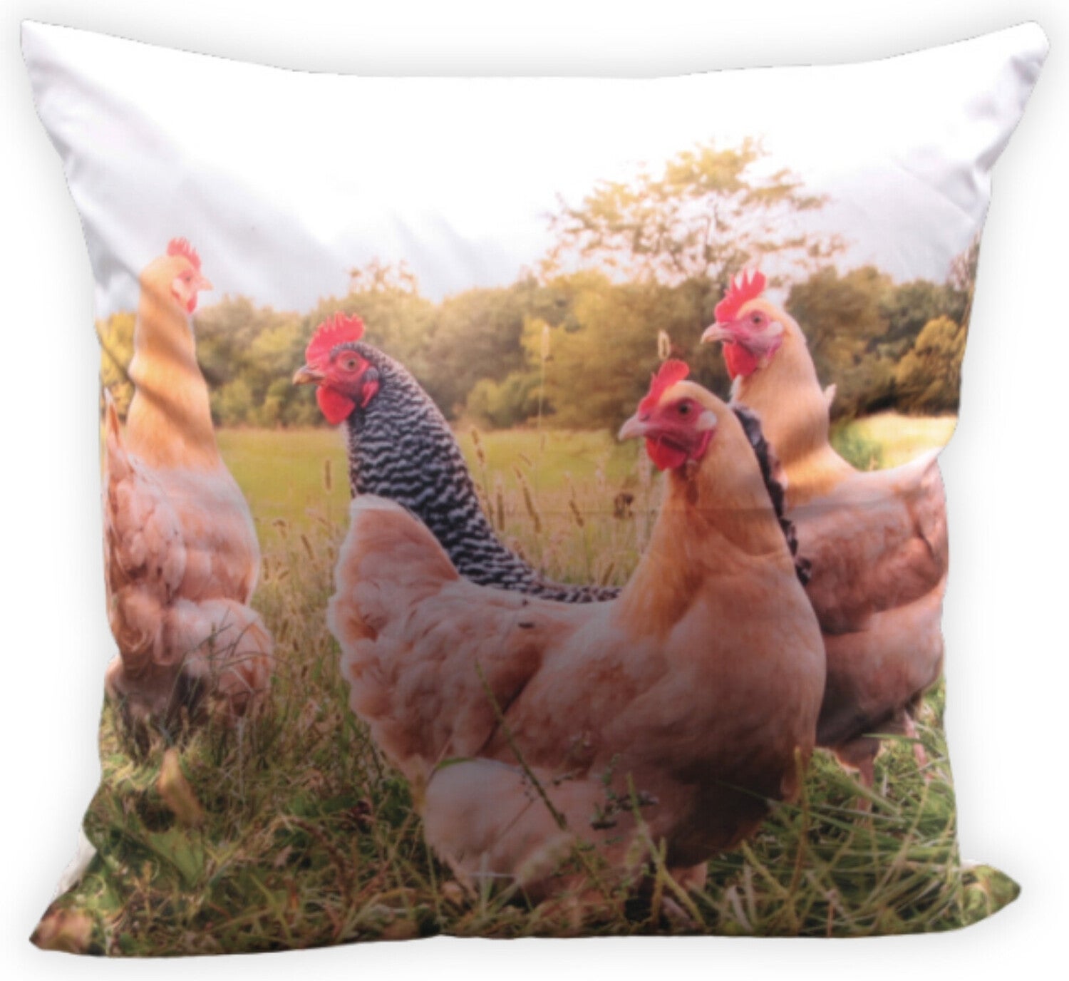 Farmwood Animals sierkussen kippen multi 45 x 45 x 2 cm