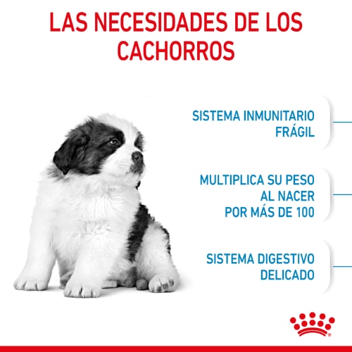 Ração Royal Canin Puppy Giant para cães