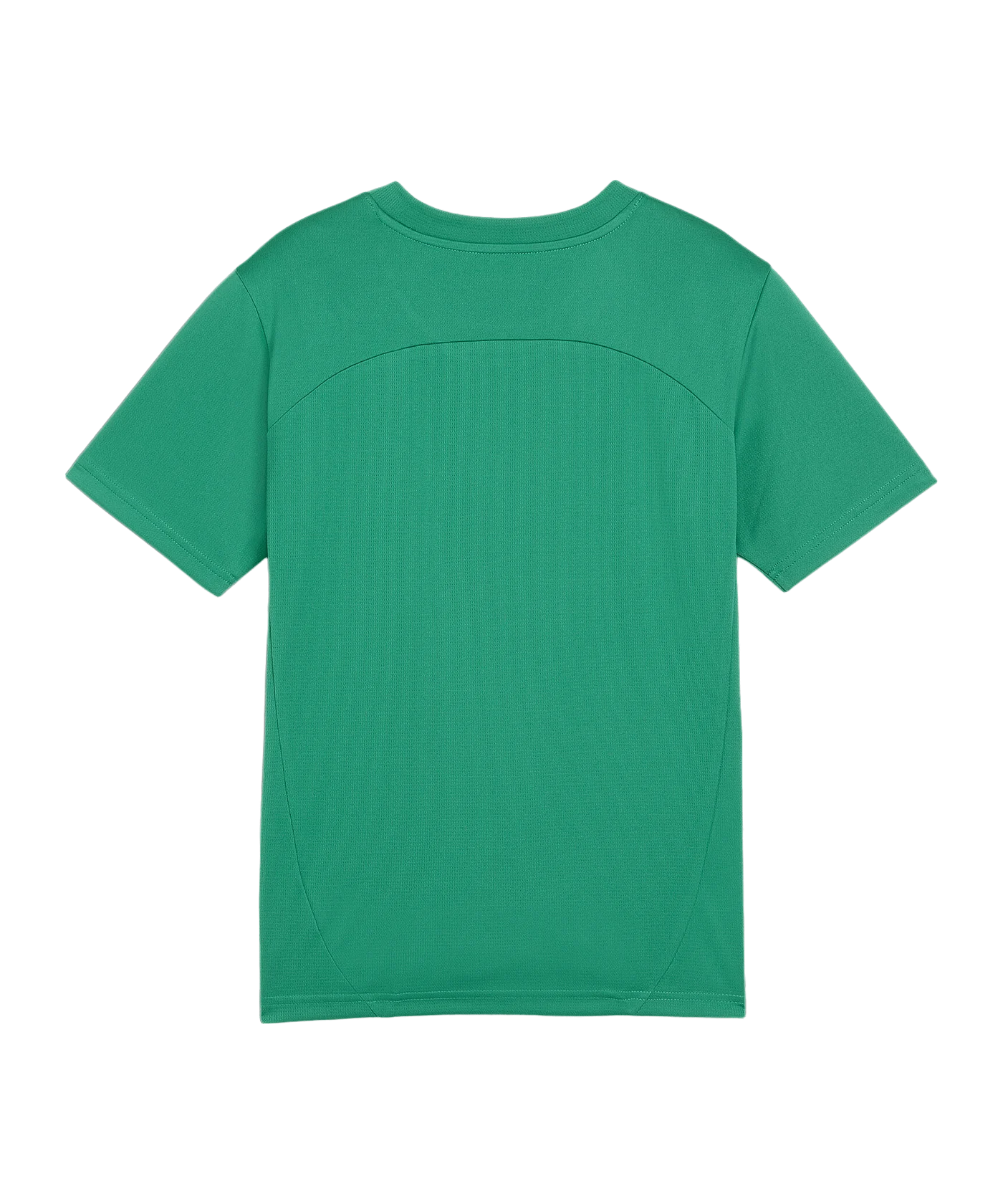 PUMA teamFINAL Trikot Kids Grün F05