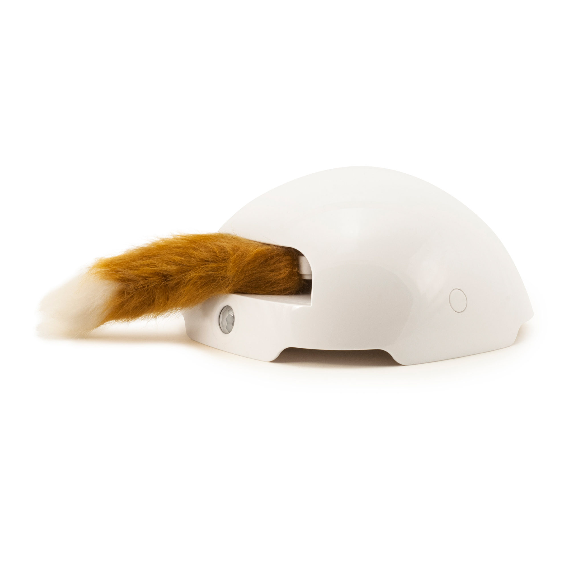 FroliCat Fox