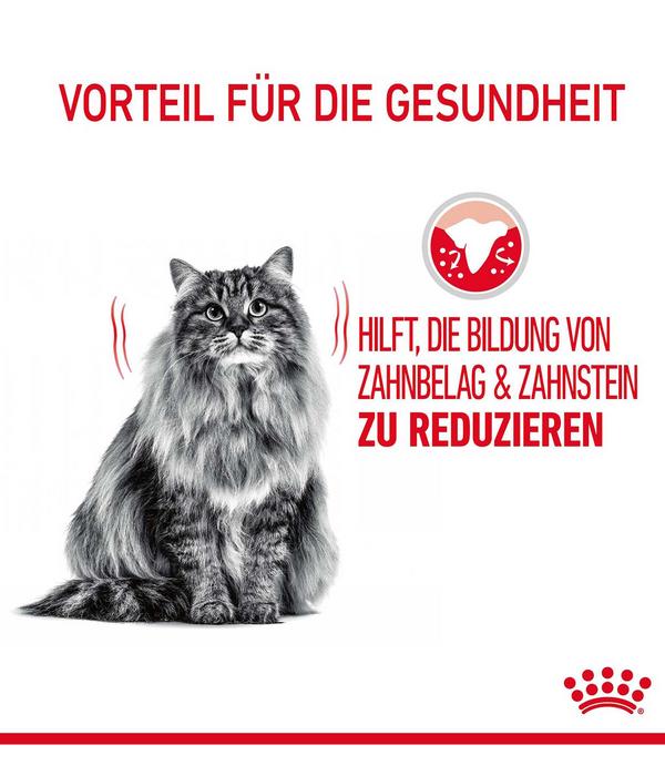 ROYAL CANIN® Trockenfutter für Katzen Dental