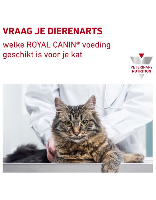 Royal Canin Veterinary Diet Urinary S\/O Moderate Calorie Morsels Gravy Wet - Kattenvoer - 85 g