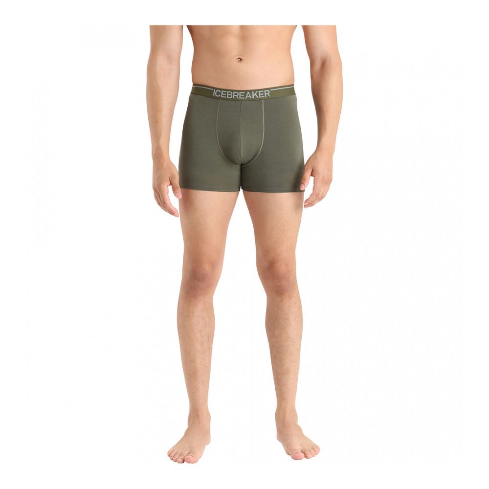 Icebreaker ANATOMICA - Boxer Homme loden