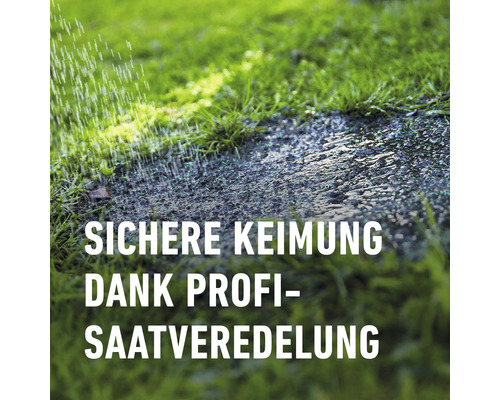 Schaduwgazon COMPO SAAT® 1 kg 50 m²