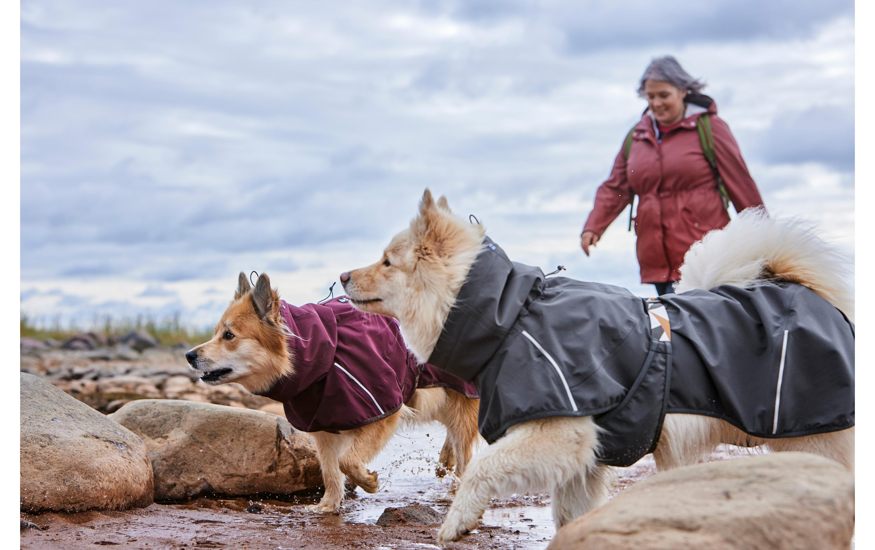 Regenmantel Mudventure Eco Dunkelgrau, 65 cmHundejacke