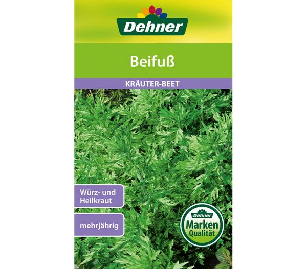 Dehner Samen Beifuß