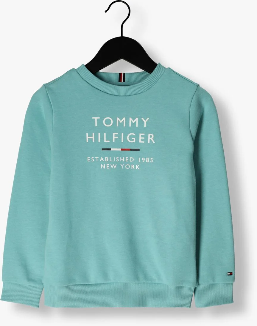 TOMMY HILFIGER blauwe tommy hilfiger sweater th logo sweatshirt