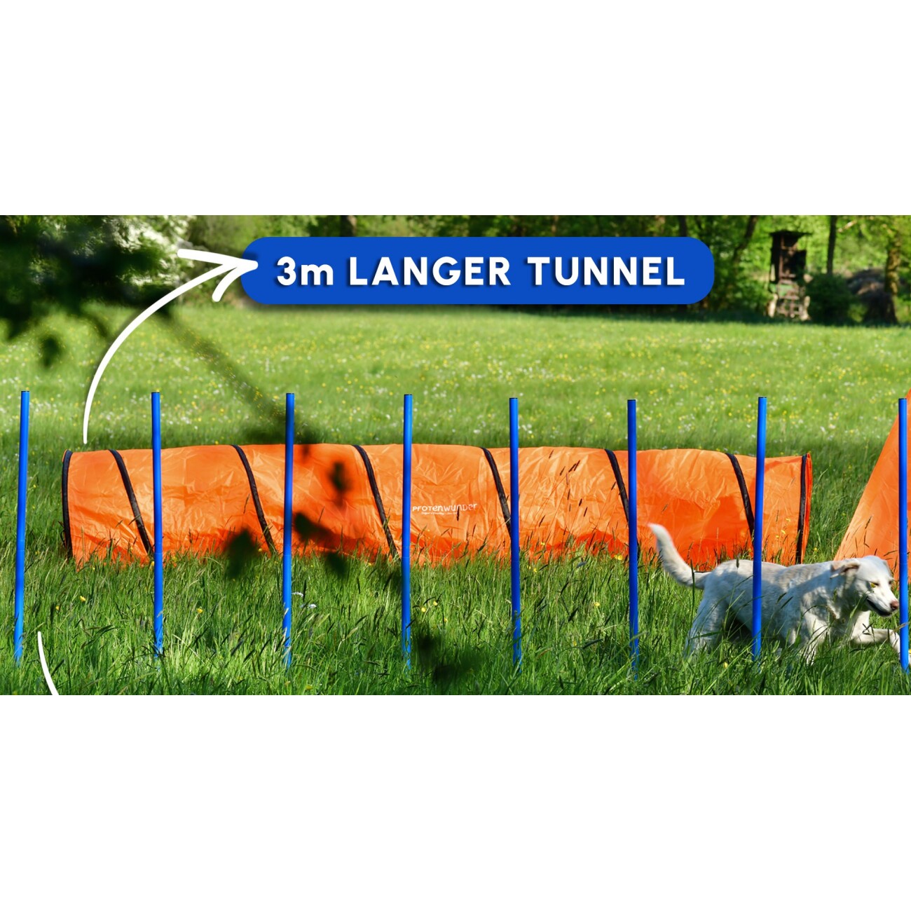 PfotenWunder® XXL-Profi-Agility 3-Meter-Tunnel