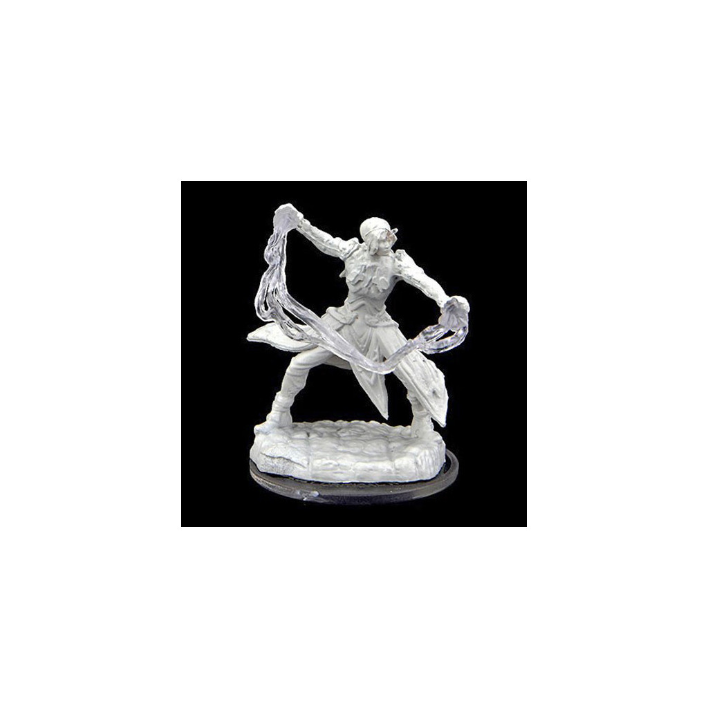 Critical Role Unpainted Miniatures: Remnant Cultist & Chosen