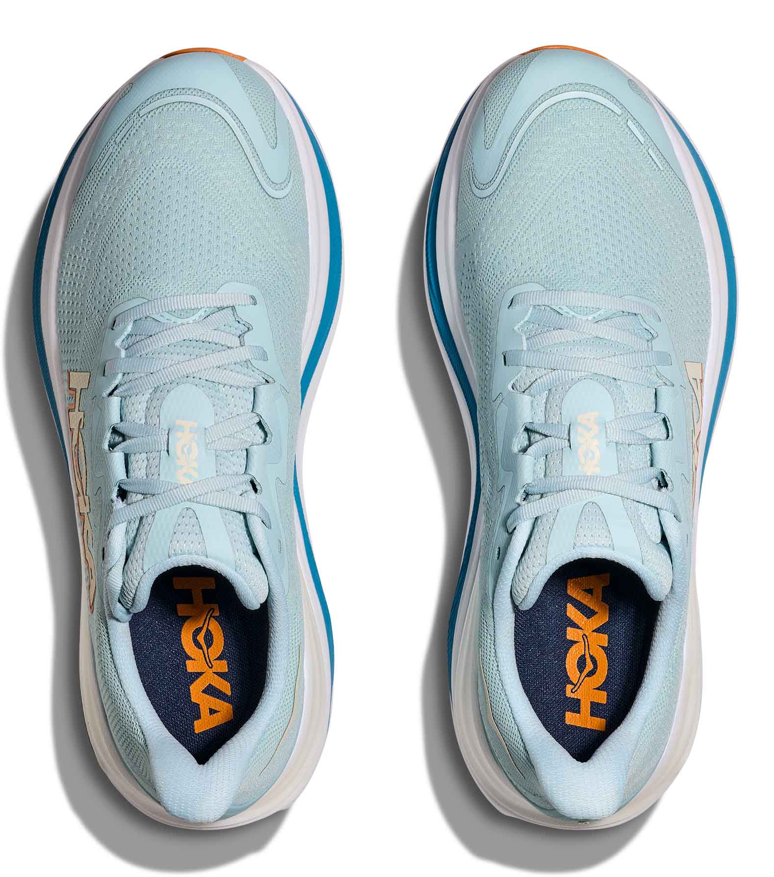 Skyward X Herre CSLP/Clear Sea/Alpine Blue