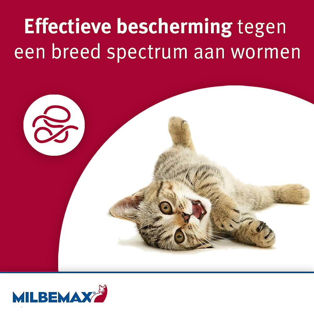 Milbemax Grote Kat Ontwormingstabletten