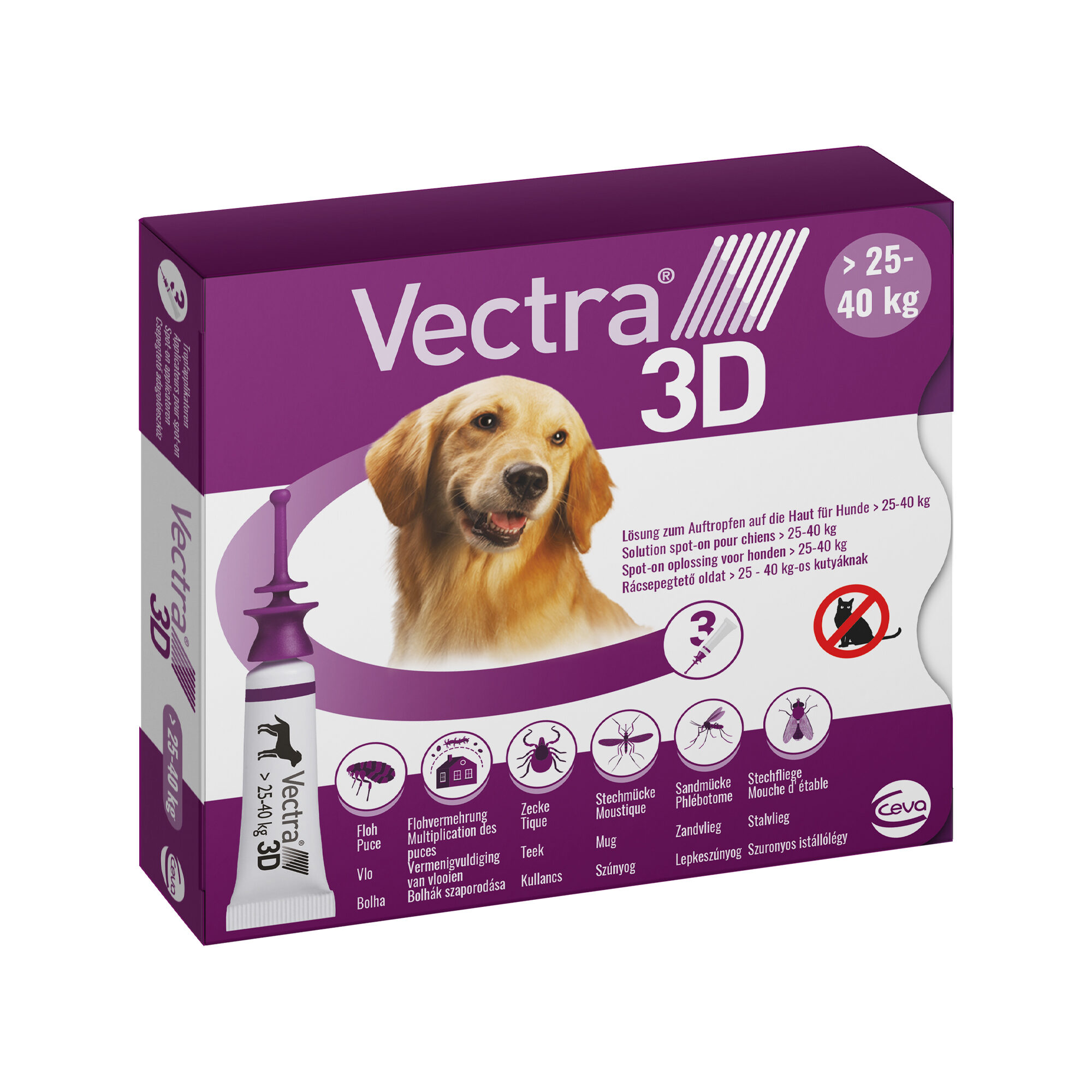 Vectra 3D Dog