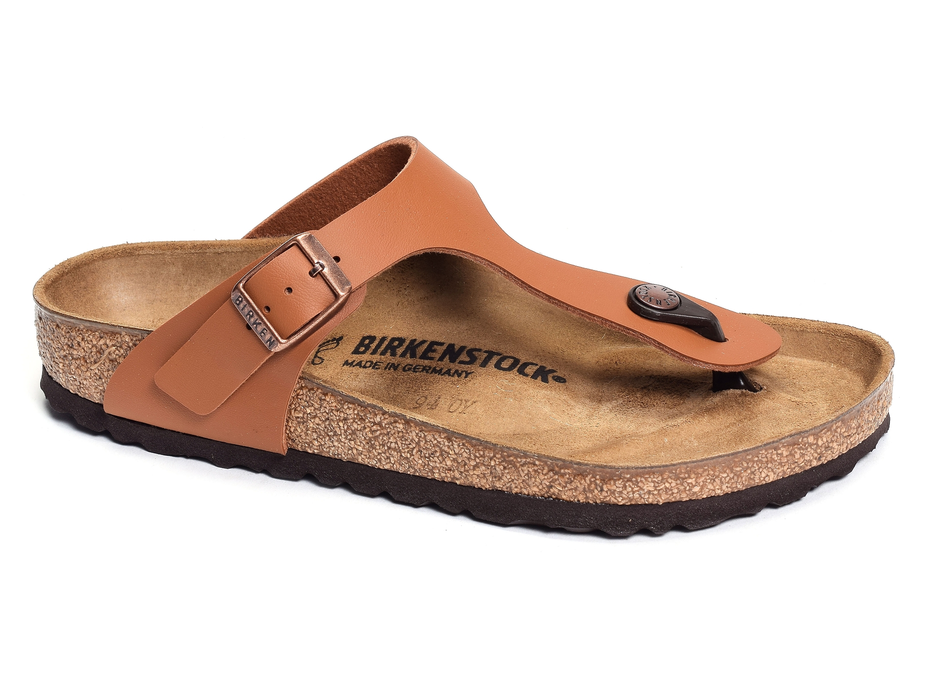 Gizeh camel