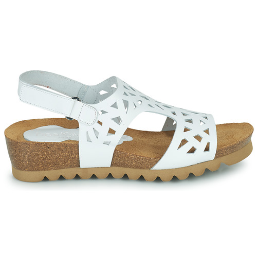 Dorking - SUMMER Blanco