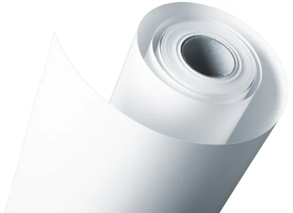 Hahnemühle Fotopapir 61 cm x 30 m, 200 g, hvid, rulle (HAH10643101)