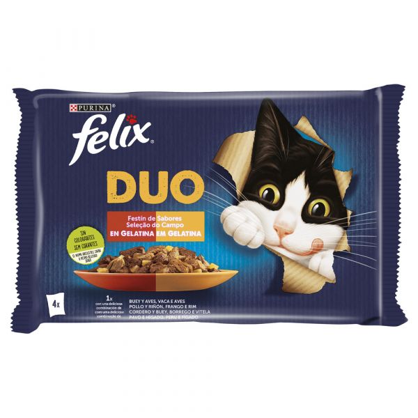 Ração Húmida Felix Sensations Duo Seleção Sabores 4 x 85g