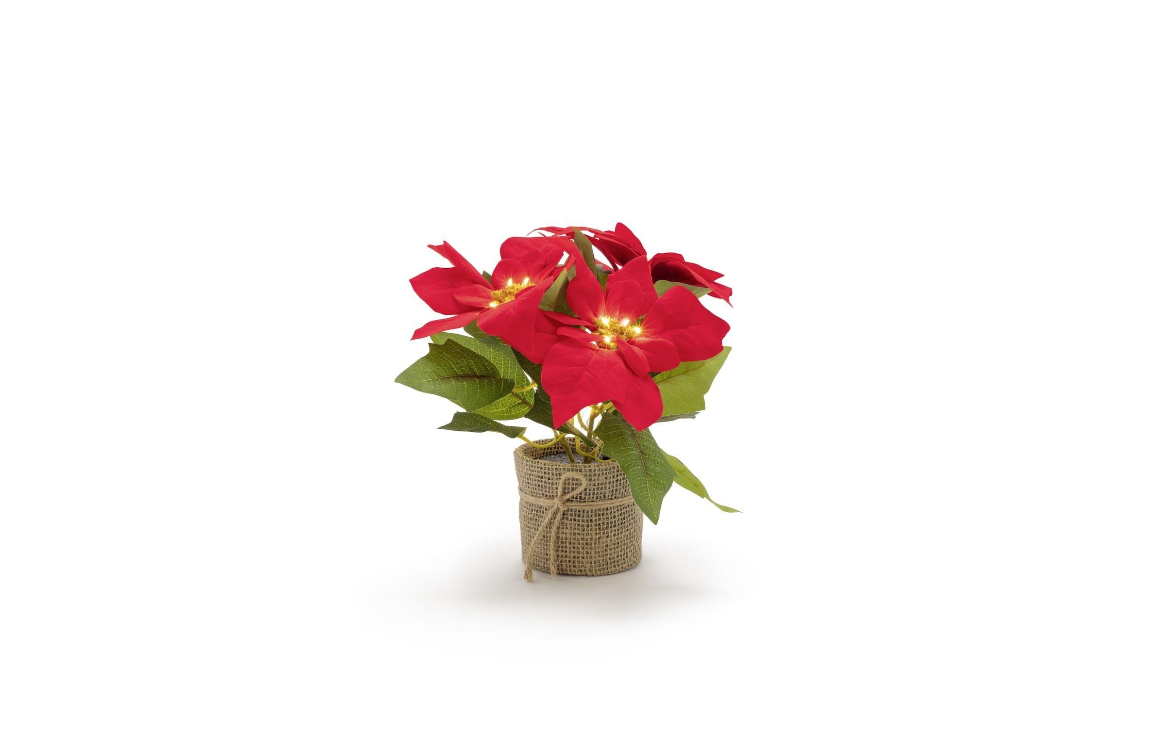 STT LED Baum »Poinsettia« 1 Stk.