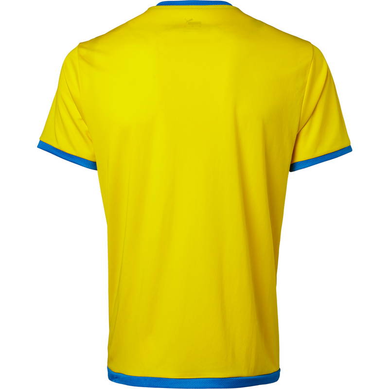 Puma teamLIGA Trænings T-shirt Herre