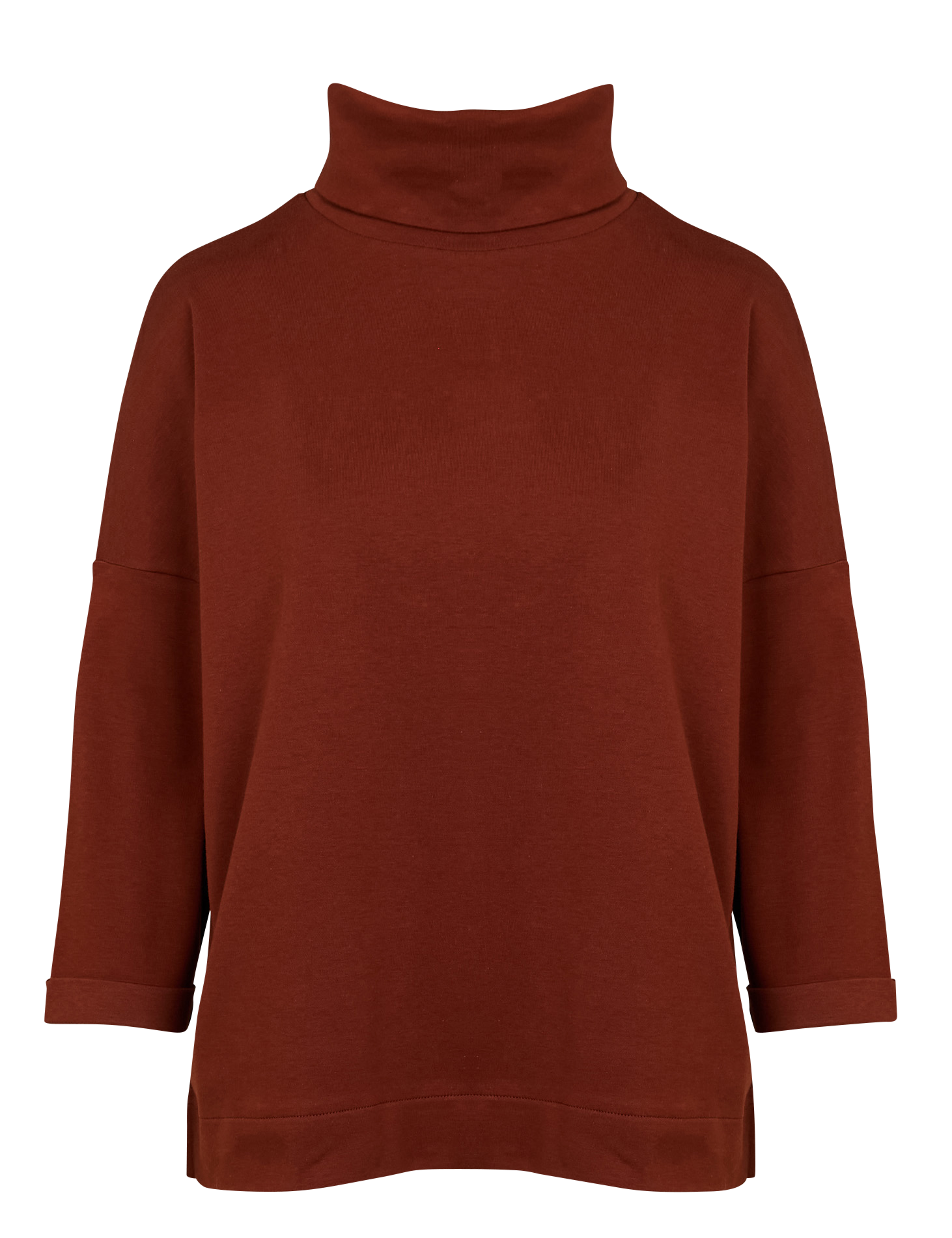 JANI - Tee-shirt ample col roulé en coton | Marron