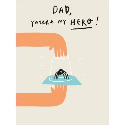 Dad Hero Spider Catcher