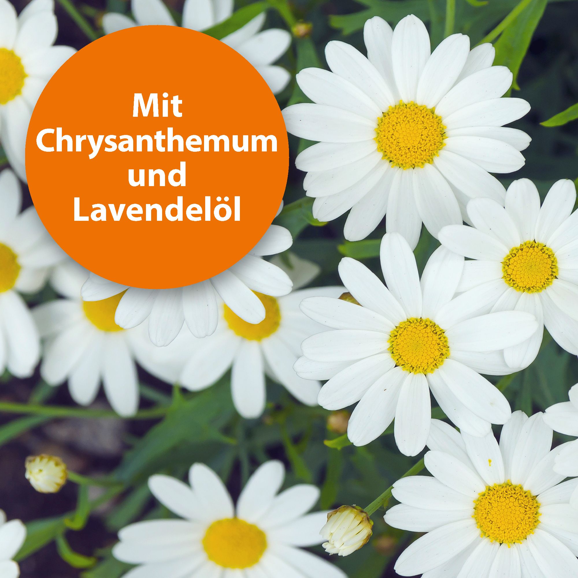 ARDAP® Flohspray zur Anwendung am Tier