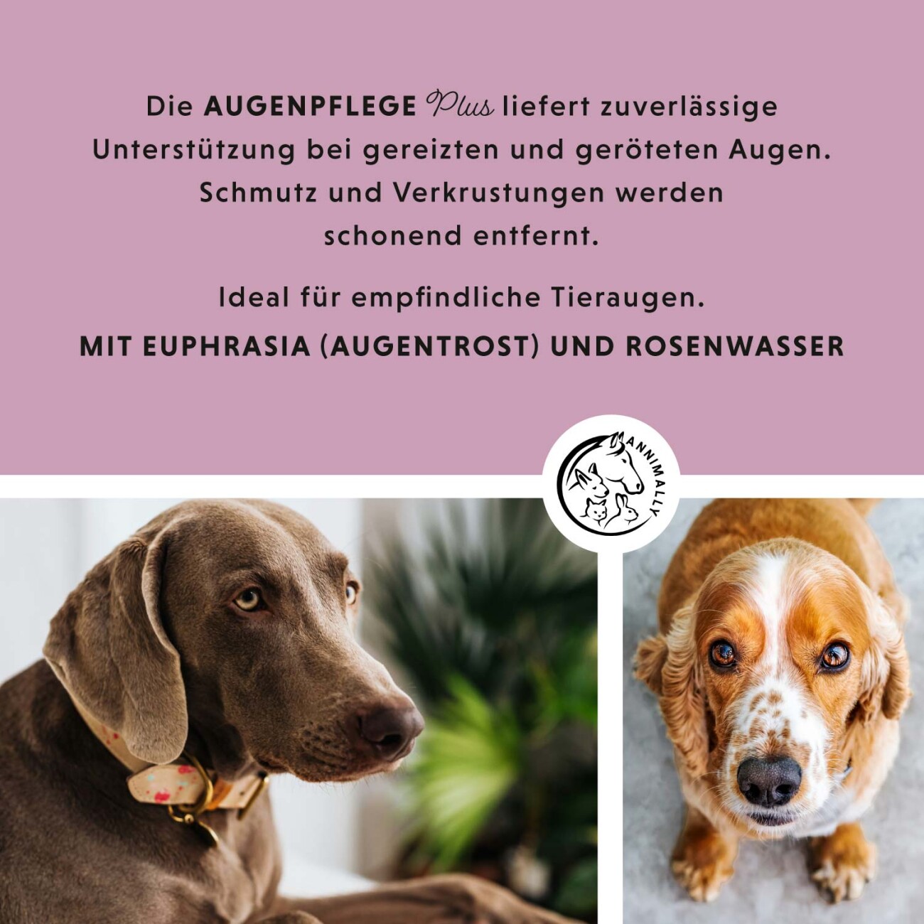 Annimally Augenpflege Plus mit Euphrasia & Rosenwasser