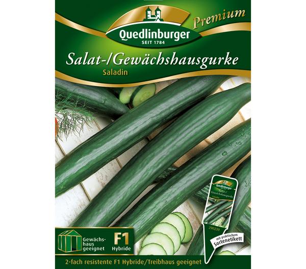 Quedlinburger Salat-/Gewächshausgurke