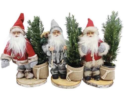 Arrangement Kerstman met boom FloraSelf H ca. 40 cm