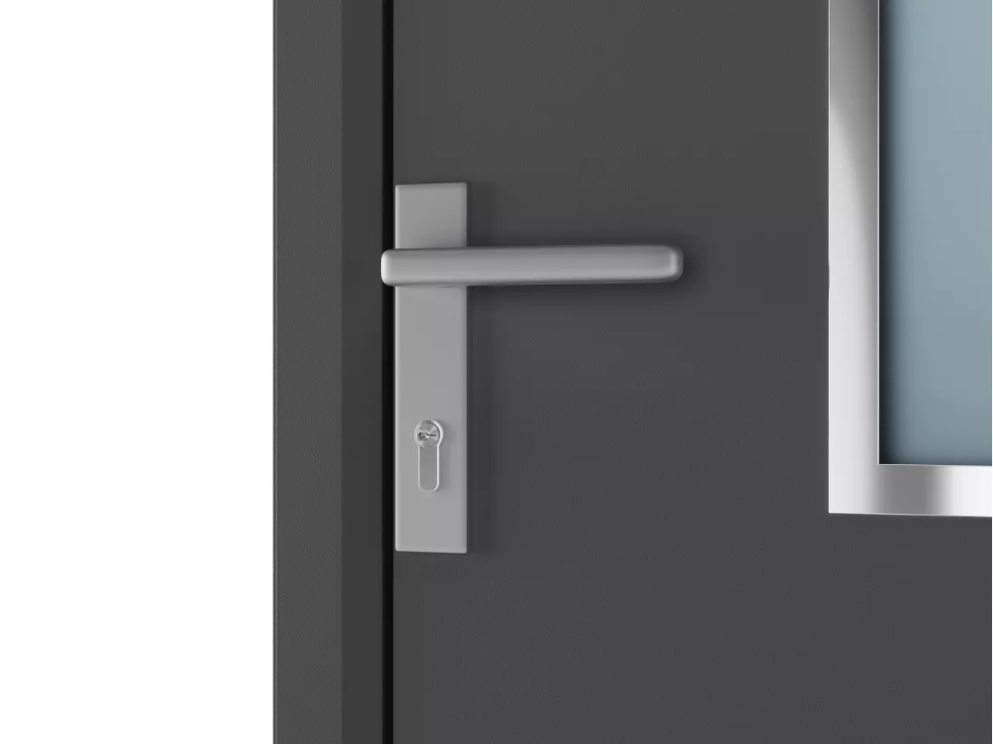Porte d'entrée en aluminium H218 x L96 cm anthracite - poussant droit - ROSILVA